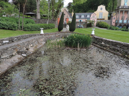 Pond