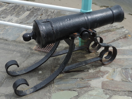 Cannon