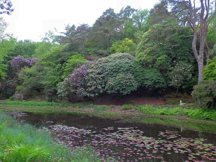 Across the lake