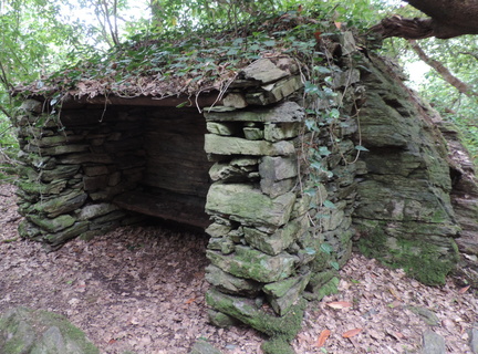 Shelter