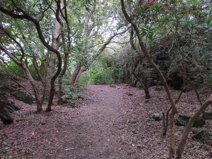 Clearing