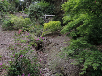 Stream