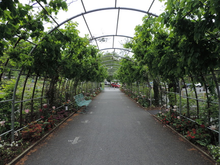 Tunnel