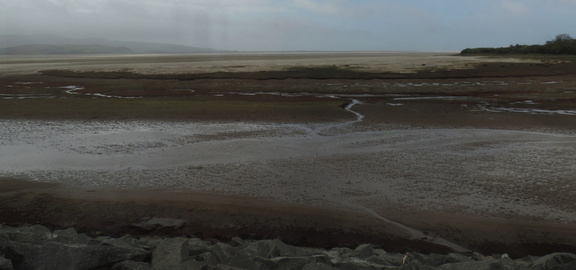 Estuary