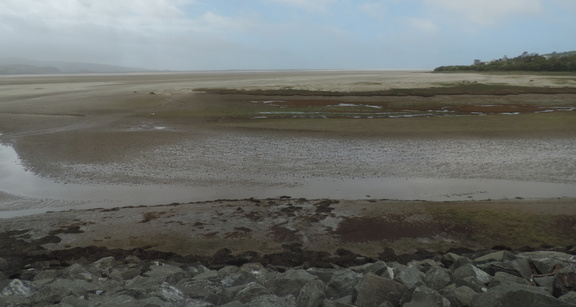 Estuary