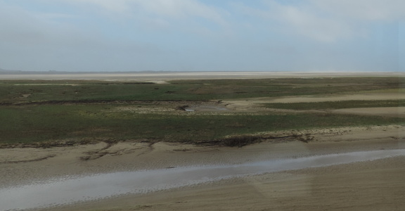Estuary