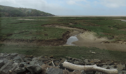 Mud flats