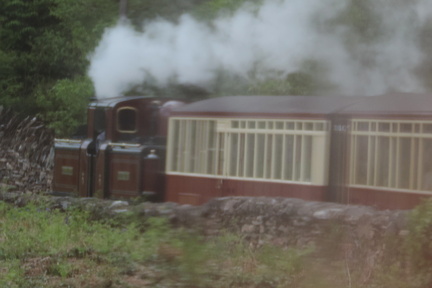 Along the train