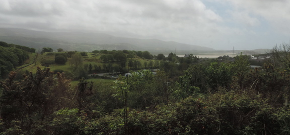 Estuary