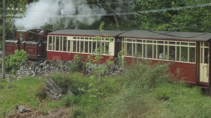 Along the train