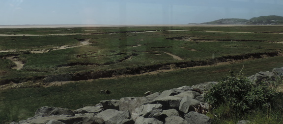 Mud flats