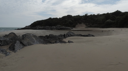 Along the beach