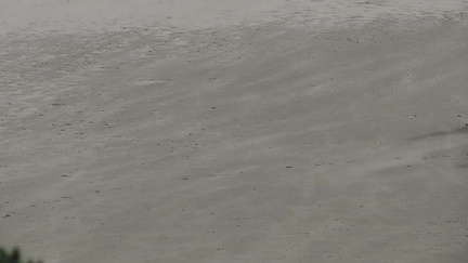 Sand