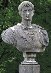 Bust