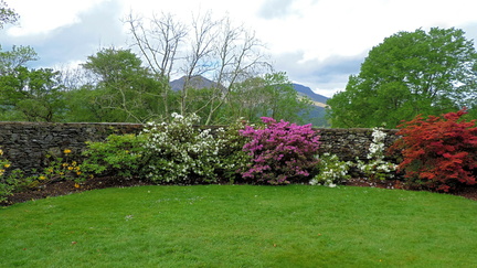 Flower beds