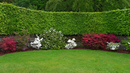 Flower beds