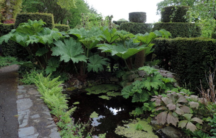 Pond