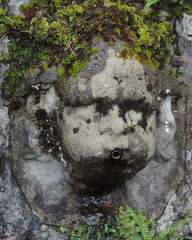 Face