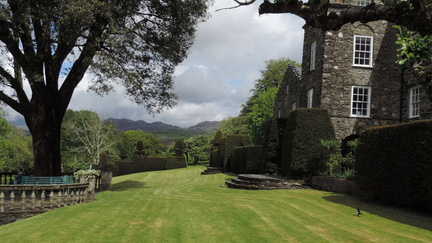 Lawn