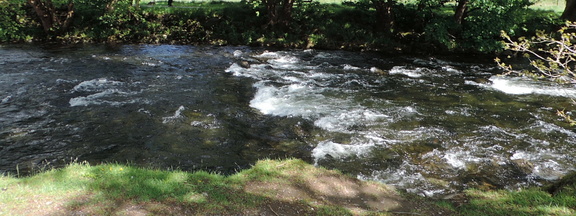 Rapids