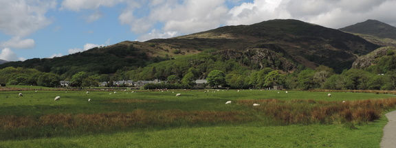 Landscape