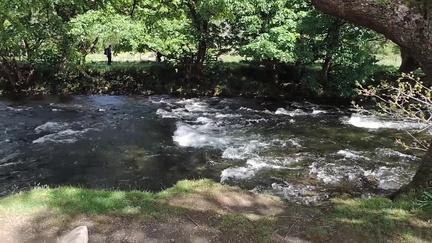 Rapids
