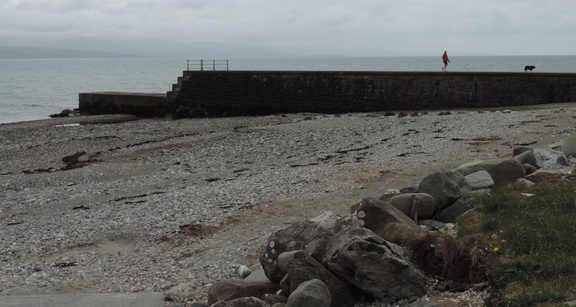 Sea wall
