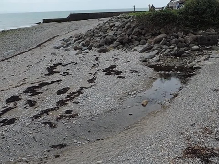 Stream