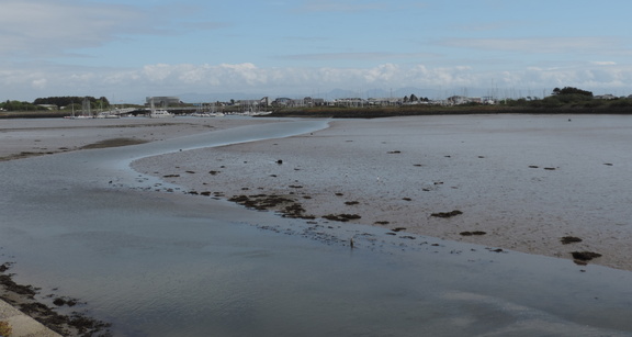 Mud flats