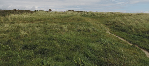 Sand dunes