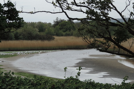 Mud flats
