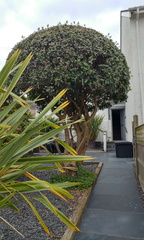 Outside