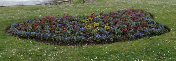 Flower bed
