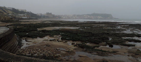 Along the coast