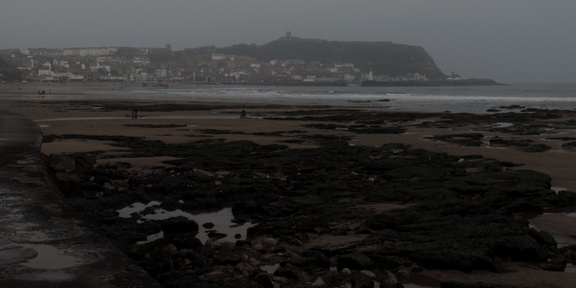 Along the beach