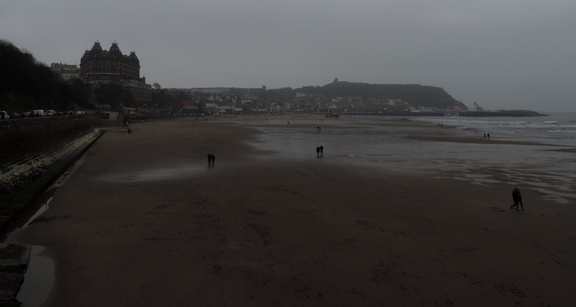 Along the beach