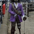 Purple pirate
