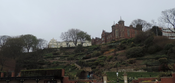 Cliff garden
