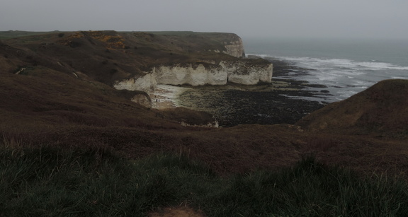 Bay