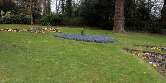Flower beds