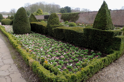 Hedges