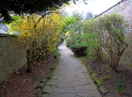 Avenue