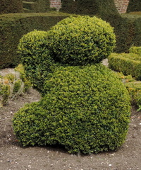 Topiary