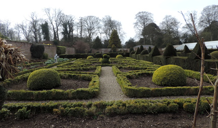 Hedges
