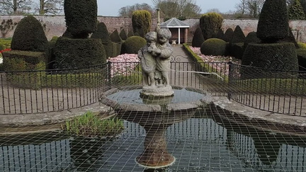 Fountain