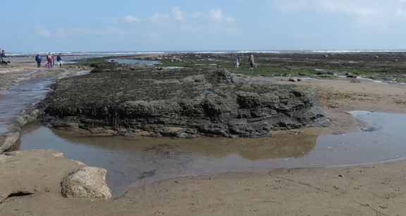 Rocks