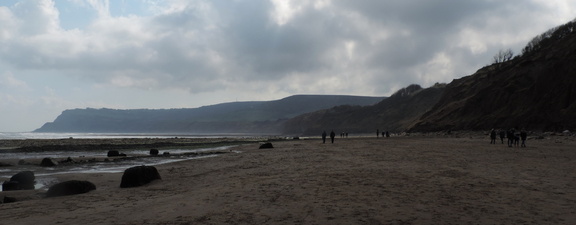 Along the coast