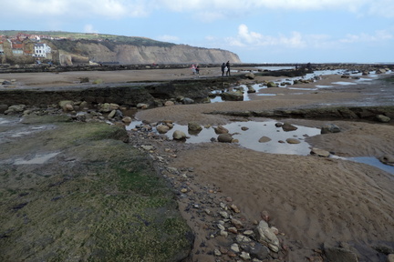 Along the beach