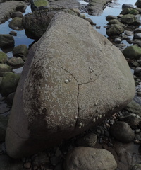 Rock