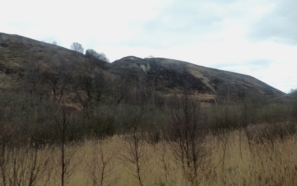 Moors
